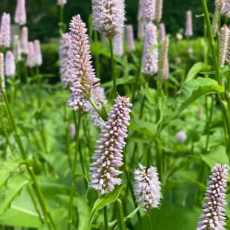 Apartment Bahnhof • Fliegender Hamburger