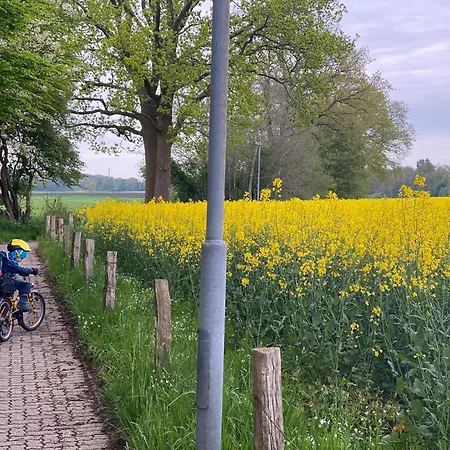 Bahnhof • Fliegender Hamburger